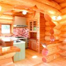 나무향 가득 이미지