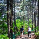 화원 명곡우체국 이미지