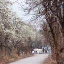 나무의료기 이미지