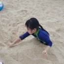 주제 : 여름