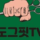 도그핏애견샵 이미지