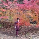 상록수풍물단 가을소풍(대구성서노인종합복지관 풍물동아리) 이미지