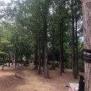 월드컵공원 유아숲체험원 이미지