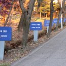 연명마을입구 Daum카페