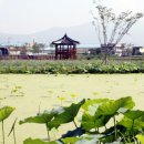 봉산축산 이미지