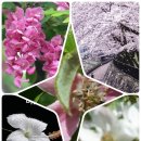 속리농원 이미지