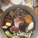 덕진-72 이미지