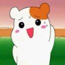 라이브 노래방 이미지