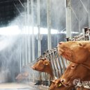 산우리농장 이미지