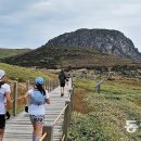 제주를 달린다..세계인이 함께한 트레일러닝 이미지