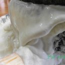 두부생각 이미지