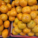 부유농장 이미지