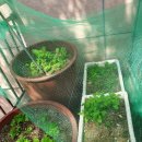 기로(여)경로당 이미지