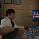 AP 동물병원 이미지