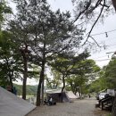 홍천펜션&글램핑캠프별이빛나는밤 | 홍천 애견 팬션 추천 : 홍천펜션&amp;글램핑 캠프별이빛나는밤