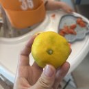 토마토어린이집 | 아기 코로나 증상 후기 열 잠복기 검사 약 어린이집 언제부터