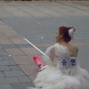 수정수지 이미지