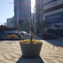 시선 이미지