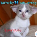 부산뱅갈하우스 이미지