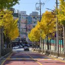 구갈로28번길 이미지