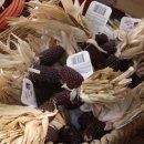 호박농장 이미지