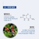 옐로우스킨앤바디 이미지