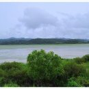 우포늪생태공원 이미지