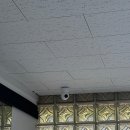 삼산 용인대박사 유도관 이미지