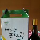 참편한황토펜션 이미지