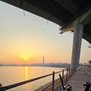 괴평입구자전거도로 | [서울 봄꽃 나들이] 지금 응봉산은 노란 물결! 시니어가 직접 다녀온 자전거 라이딩 후기/축제3월27~28