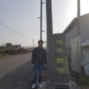 제주웰빙영농조합법인 이미지