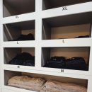 라인핏피티 이미지