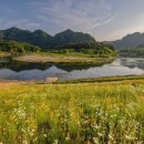 J GROOMING 이미지