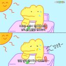 [제천 수제돈가스] 크기도 맛도 미친 수제돈가스 오픈런 후기 제천 여행 양식집 맛집 추천