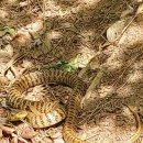 (주)심산 이미지