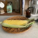 갑이농장2 | [6.9-10] 첫 출하 "초당옥수수"