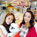 홈플러스 동수원점 수족관 이미지