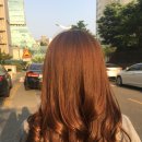 와이헤어샵 이미지