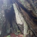 독바위로 이미지