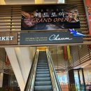 청담흰의원 이미지