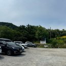 [천안성거읍맛집] 6월 샤스타데이지 후기_ 카페이숲🏡🌼 (내돈내산)