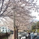 해동택시(주) 네이버블로그