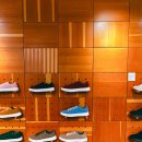 맹그로브 제주시티 이미지