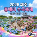 하루방 | 2026 제주 휴애리 수국축제 실시간 분위기 총정리