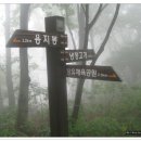 고암체육공원 Daum카페