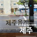 (주)제주리무진 | 제주 서귀포 뚜벅이 가성비 숙소 올레스테이