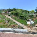 중앙여자고등학교 (건너) 이미지