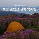 보성 | 전라남도 보성 일림산 철쭉 백패킹 후기, 실시간 개화 현황