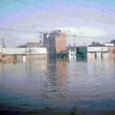 기억나는 큰 홍수 중 1972년 8월에 있었던 서울과 남한강 지역의 홍수 이미지