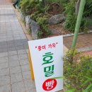 호밀베이커 이미지